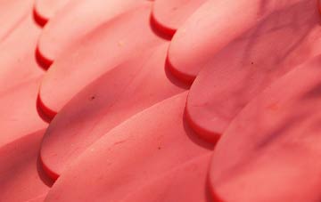 Charlecote plastic roof costs