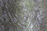 Charlecote fibreglass roof work